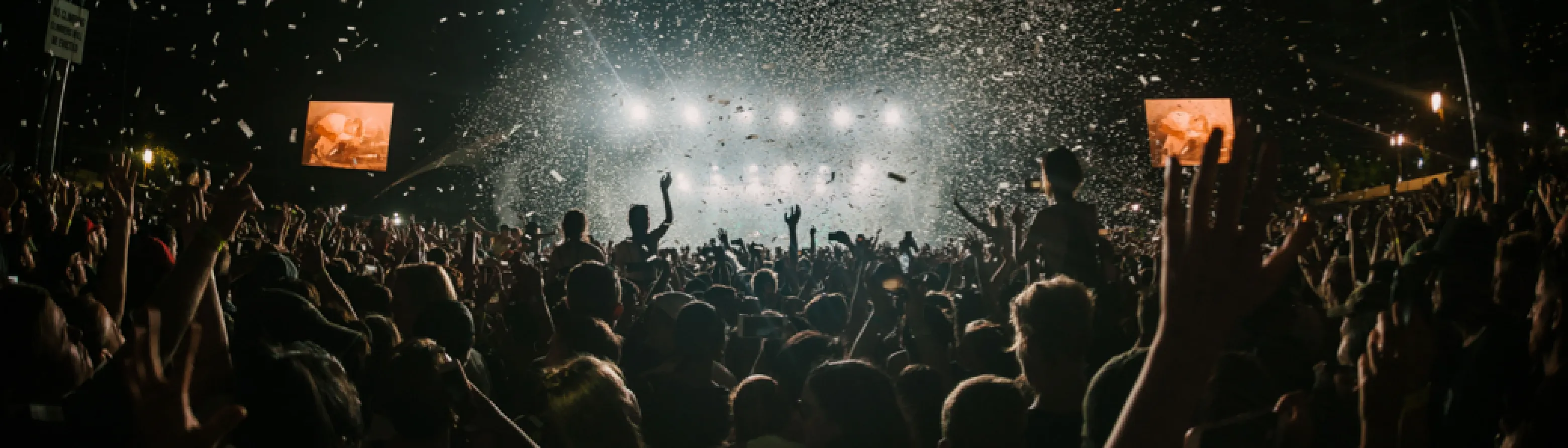 Concert crowd