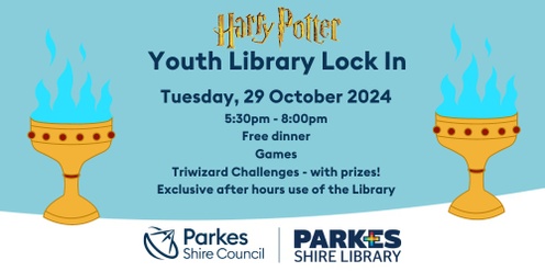 Harry Potter Youth Library Lock In