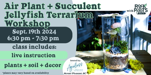 Air Plant + Succulent Aquarium Terrarium Workshop at Ageless Medical Spa (Mount Pleasant, SC)