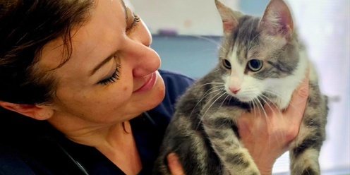 RSPCA Cat Vaccination Event at Tarneit Community Learning Centre -- DEC