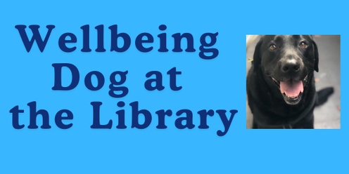 Visit with a Wellbeing Dog at the Library 