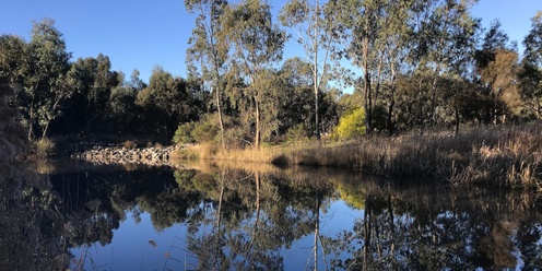 Mums & Bubs Nature Bathing Walk