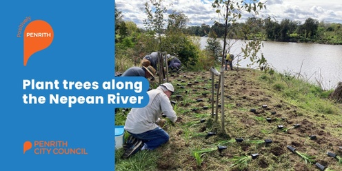 Planting for a Healthy River