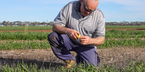  MADE Bio-Fertilisers for Drought Resilience Winter Wheat Trials: Demo Days