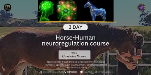 Horse & Human Neuro-regulation course