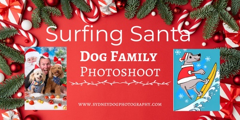 Mona Surfing Santa Dog Photos