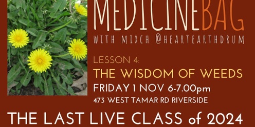 Medicine Bag - Lesson 4 (the wisdom of weeds)