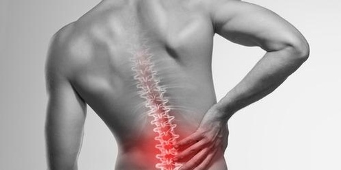 Back Pain: Anatomy, Common Pathologies and Management strategies   