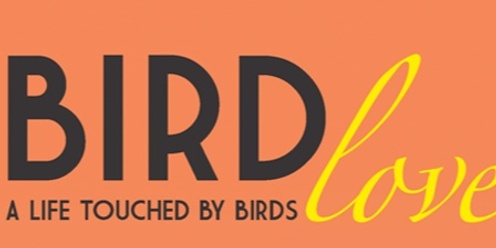 BIRDlove book and art launch