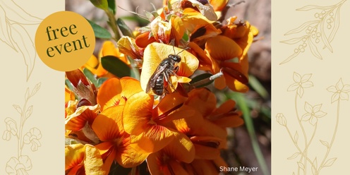 Nurturing Natives: Planting for Pollinators