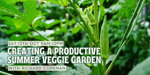 Creating a Productive Summer Veggie Garden 