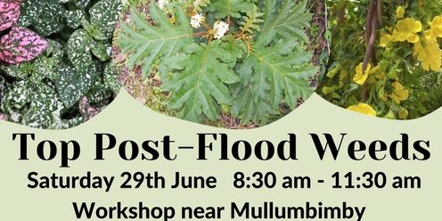 Top Post-Flood Weeds Workshop