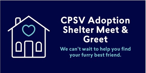 Adoption Meet and Greet Appointments- August & September 2024 