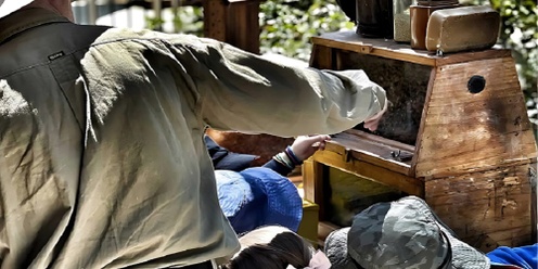 Learn Beekeeping at Karrinyup Library