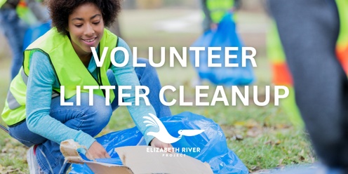 Volunteer Litter Cleanup 