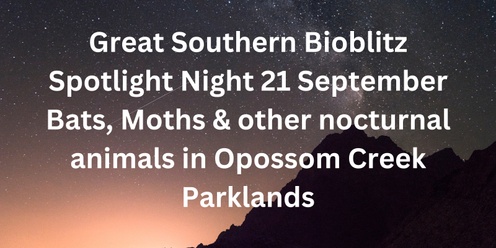 Great Southern Bioblitz Spotlight Night