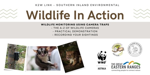 Wildlife in Action - The A-Z of Camera-traps