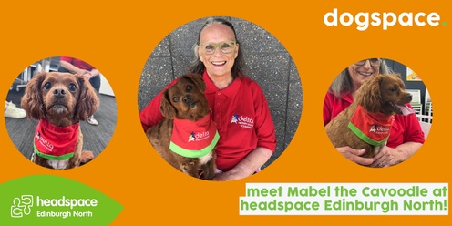 dogspace @ headspace Edinburgh North