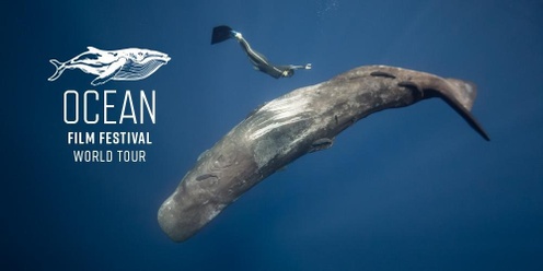 Ocean Film Festival World Tour - Nelson Sat 22 Mar 6pm