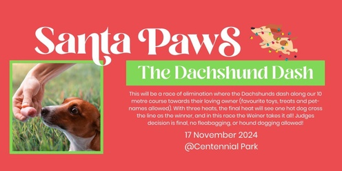 The Dachshund Dash (Sausage Dog Races) -  Santa Paws Event 2024