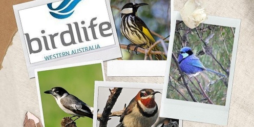 Birdlife WA Talk and walk through Eric Singleton Bird Sanctuary