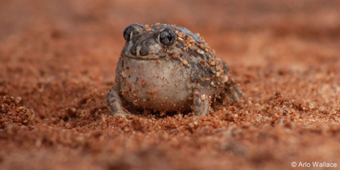 October school holiday program | Kids nature photography workshop