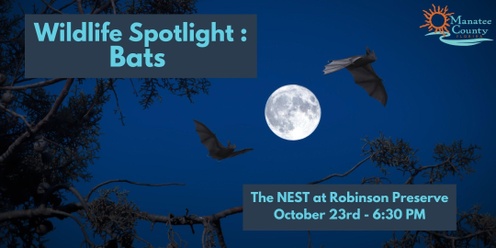 Wildlife Spotlight: Bats 