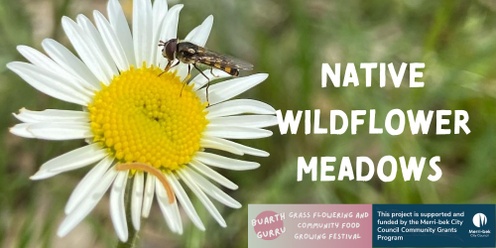  Native wildflower meadows with Katherine Horsfall