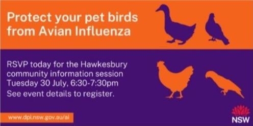 Protect your pet bird from avian influenza