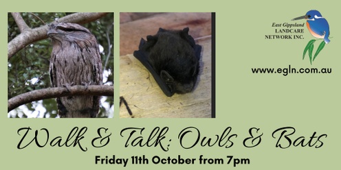 Walk and Talk: Owls and Bats in Eagle Point