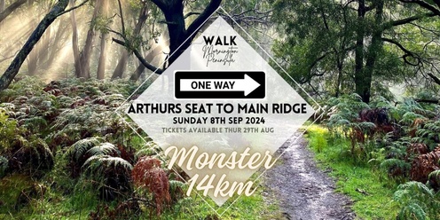 Arthurs Seat to Main Ridge - ONE WAY