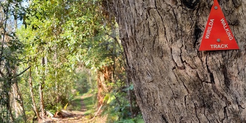 Wirilda Walking Track through the Tyers Gorge - Grade 3 (Medium)