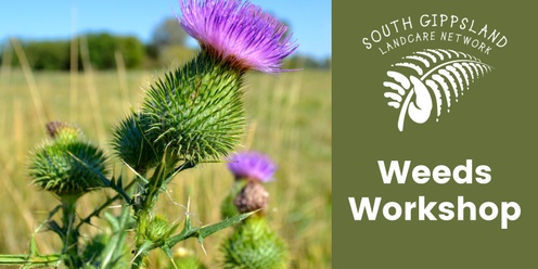 Weeds Workshop - Make a management plan. Learn control techniques