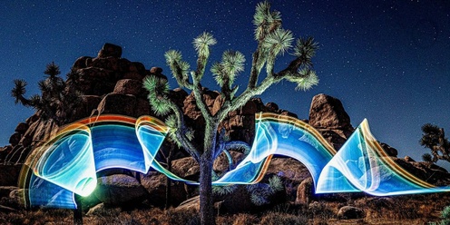 Light Painting Photography in Joshua Tree National Park