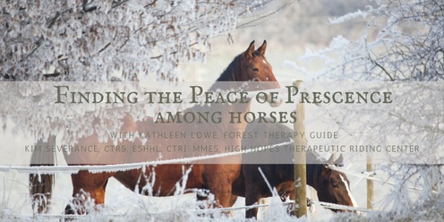 Finding the Peace of Presence Among Horses During the Holidays