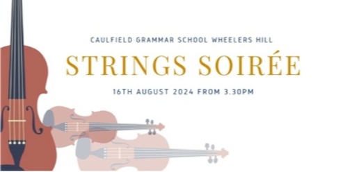 Term 3 Wheelers Hill Junior Campus Strings Soiree 