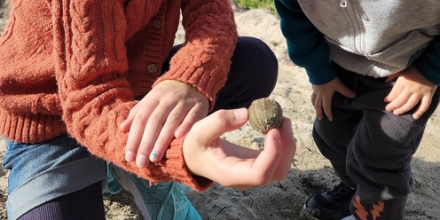 Beachcombing Along Victor Harbor Foreshore