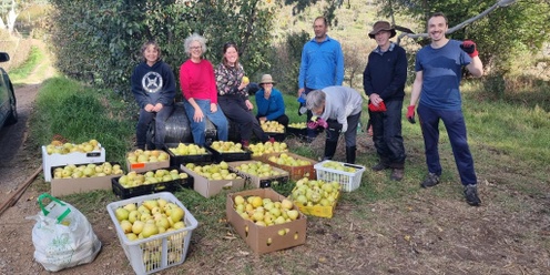 Harvest Leader Training Session