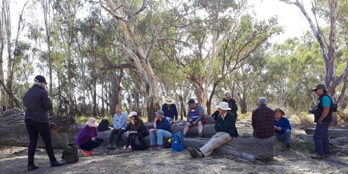 Billabong Bird Hide Walk + Morning Tea - Grade 1 (Easy)