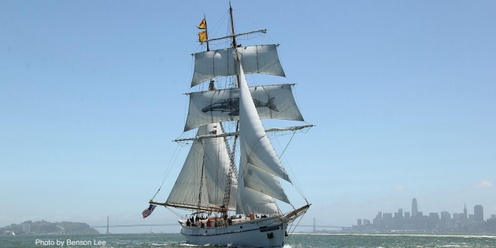 Veterans Day Sail on brigantine Matthew Turner