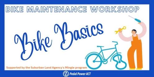 Youth Bike Library - Bike Basics Maintenance Course
