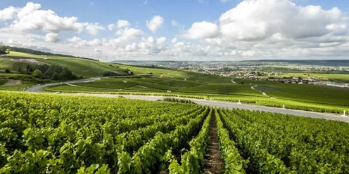 Champagne and Sparkling Tasting at House Wine