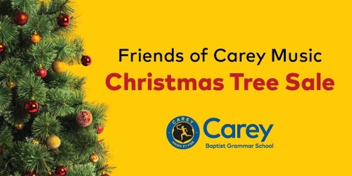 2024 Christmas Tree Sale  Friends of Carey Music