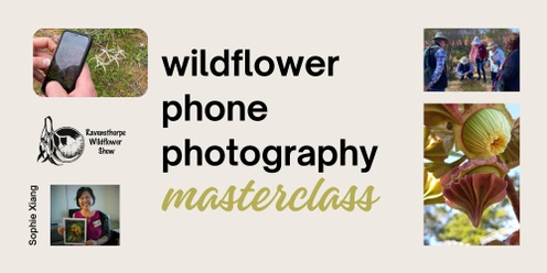 Wildflower Phone Photography Workshop with Sophie Xiang