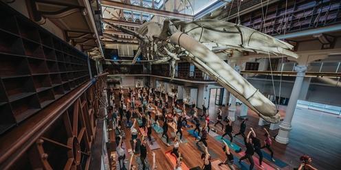 Yoga At The Museum Sunday May 19th 2024