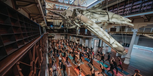 Yoga At The Museum Sunday November 17th 2024