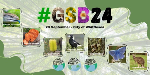Great Southern Bioblitz 2024: Whittlesea