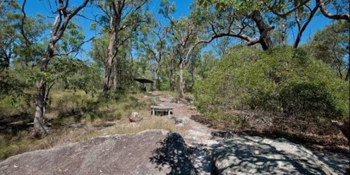 Karawatha Forest Guided Bushwalk with Dr Richard Noske: ACF Brisbane South & Logan