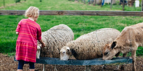 Spring Picnic Market Day on the Farm