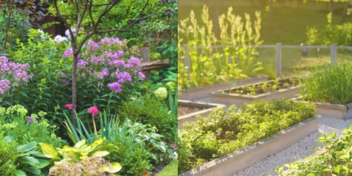 Term 3 Sustainable Gardening - Garden Design 5 Week Course